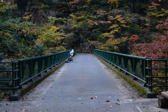 飛龍橋