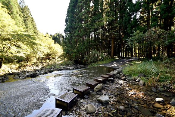 山から流れる水が道路を横切る小川