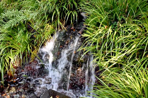 冷たい天然の湧水が流れ出る
