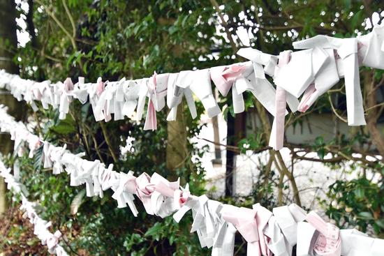 ご利益は幅広いので、受験生じゃなくてもぜひ
