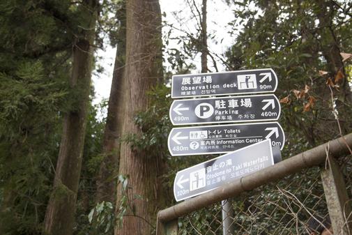 階段の90ｍはかなりキツかったです