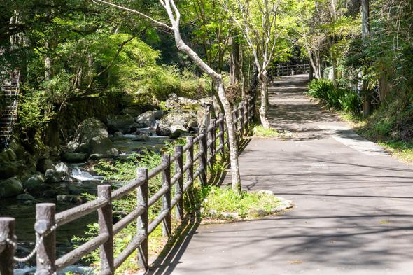 舗装されて歩きやすい遊歩道