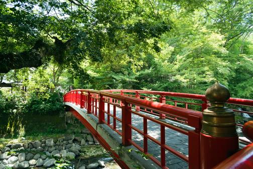 橋の上では耳に心地いい川音に包まれるよう。秋の紅葉に合わせて、もう一度訪れたくなるスポットです