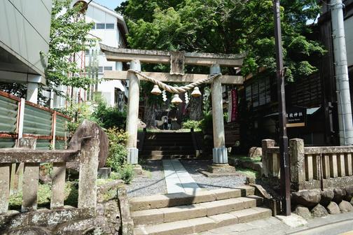杉の巨木に囲まれた静かな神社
