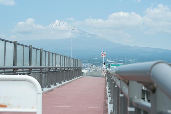 橋の上から望む富士山と富士市内の町並み