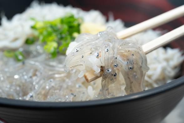 鮮度と品質の高さから国の「地理的表示（GI）保護制度」にも登録されています