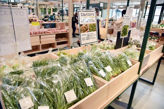 普通のスーパーではなかなか出合えない珍しい野菜が並びます