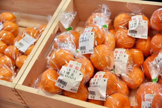 柑橘類の種類の多さは、さすが静岡！