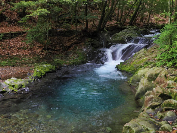 「滑沢ブルー」と称される深い樹林に包まれた滑沢渓谷