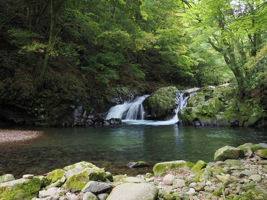 岩盤の鱗を纏う竜 「竜姿の滝」渓谷のゴツゴツとした岩盤が竜の鱗のように見え、まるで滝のほとりで一頭の竜が休んでいる場面を連想させます。