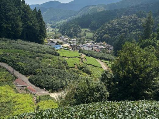 茶畑上ベンチから望む奥長島の集落