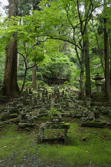 大鳥居をくぐると、斜面に沿って一堂に会する五百羅漢がお出迎えしてくれます