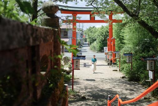 朱色と緑のコントラストが美しい境内。拝殿に進む参道で山を見上げると自然に背筋が伸びる