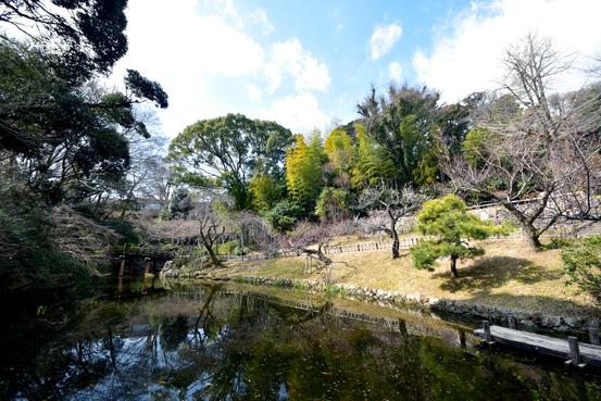 春のしだれ桜、5月の青もみじ、秋の紅葉が美しい日本庭園