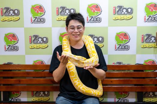 ニシキヘビとの記念撮影体験 　この日はアルビノニシキヘビでした！