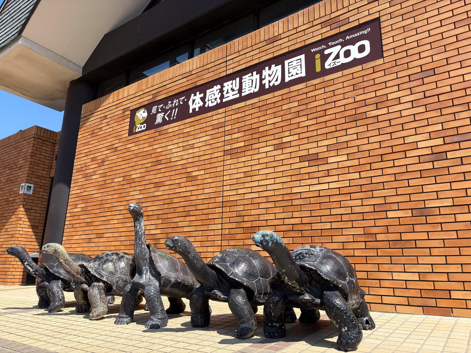 体感型動物園izoo（イズー）を徹底解説！料金やアクセス、お得な情報も