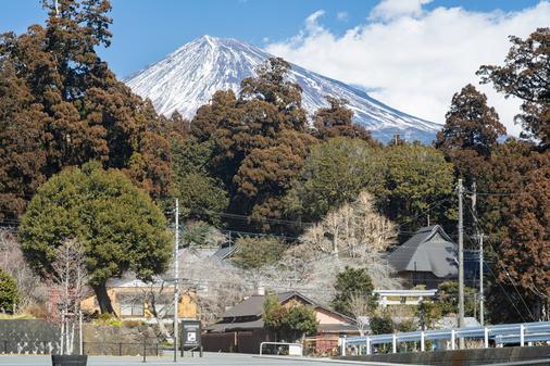 駐車場付近からは富士山の雄大な姿をバックに、鳥居や大日堂の屋根を望めます