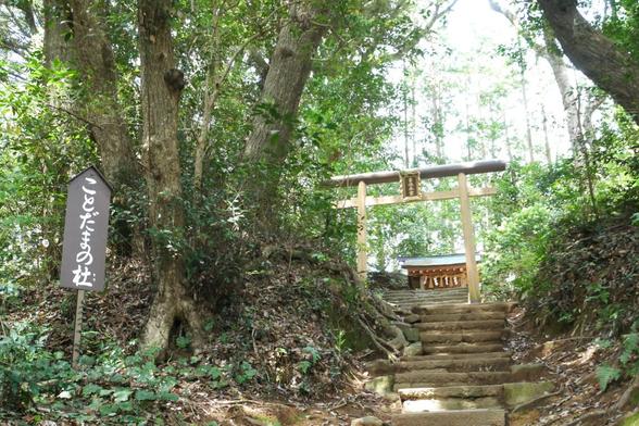 事任八幡宮の本宮が鎮座していることだまの杜