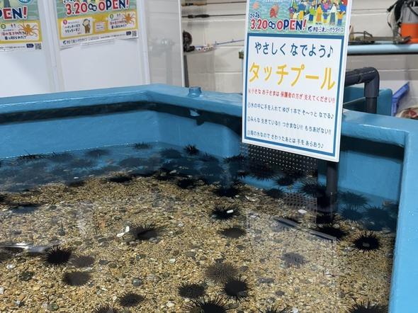 みとしー2026年3月新設「いそあそBOX さわれるんか〜い」