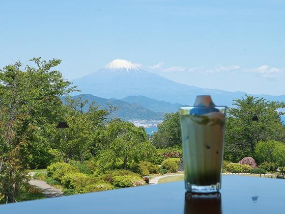 日本平夢テラス：2階 茶房夢テラスのアイス抹茶ラテ（富士山マシュマロ付）