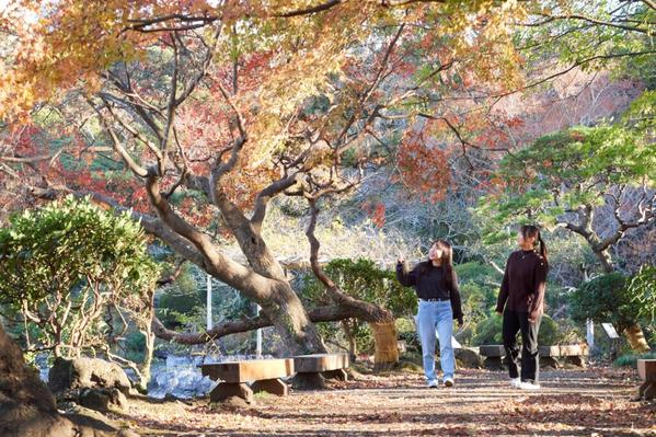 「楽寿園」は国の天然記念物及び名勝に指定された広大な庭園。湧水の湧く小浜池やせりの背などの天然池泉があり、自然林に囲まれた遊歩道を散策