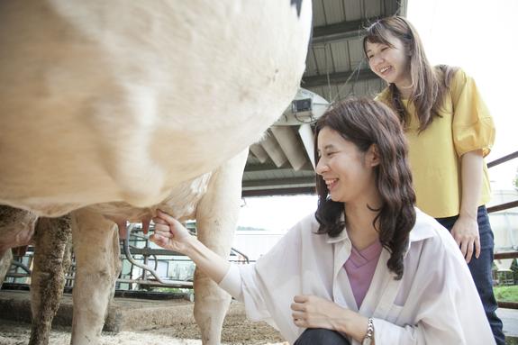 牛の温かさがわかる乳しぼり。コツをつかめば楽しい