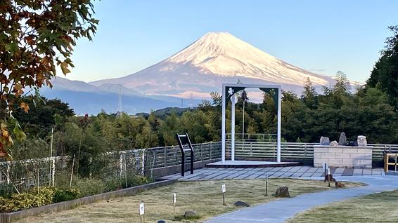 冨士見ガーデンと富士山