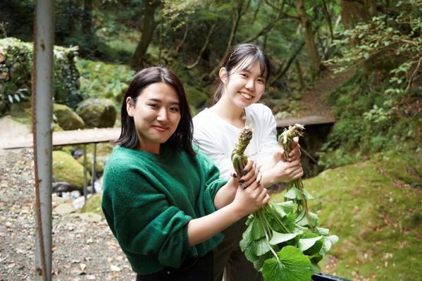 わさび沢で約一年かけて育てられた本わさびを自分で一本選びます。収穫、下処理をしたわさびは丸ごと一本袋に入れて持ち帰り。体験人数は２～８人