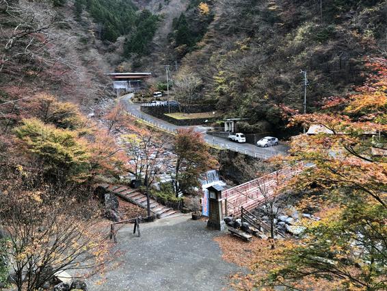 公園内の神社へ向かう階段を上がって、上からも景色を楽しもう