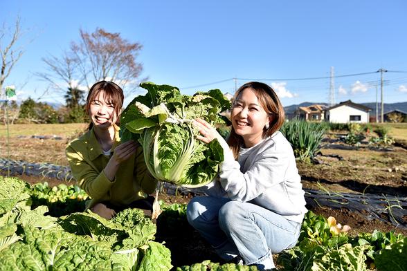 民家に隣接する畑で季節の野菜を収穫