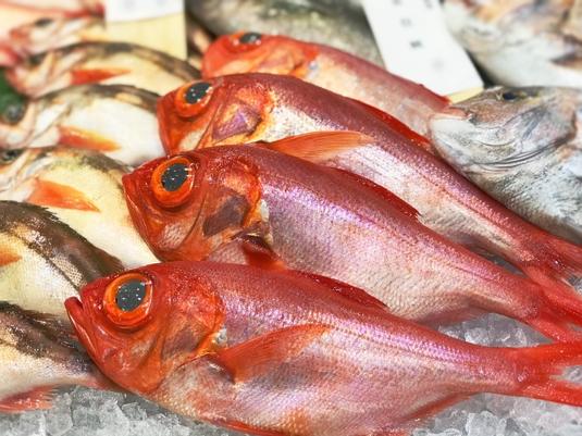 各店の係長自ら市場に足を運び競りに参加し、納得のいく鮮魚を仕入れています（※イメージ画像）