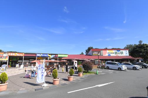 ドライブ休憩にぴったり（写真提供：伊東市観光課）