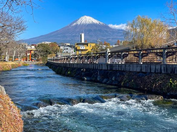 神田川のほとりから（撮影日：2024年12月）
