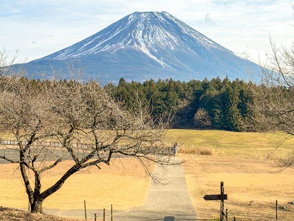富士山展望台からの富士山、冬