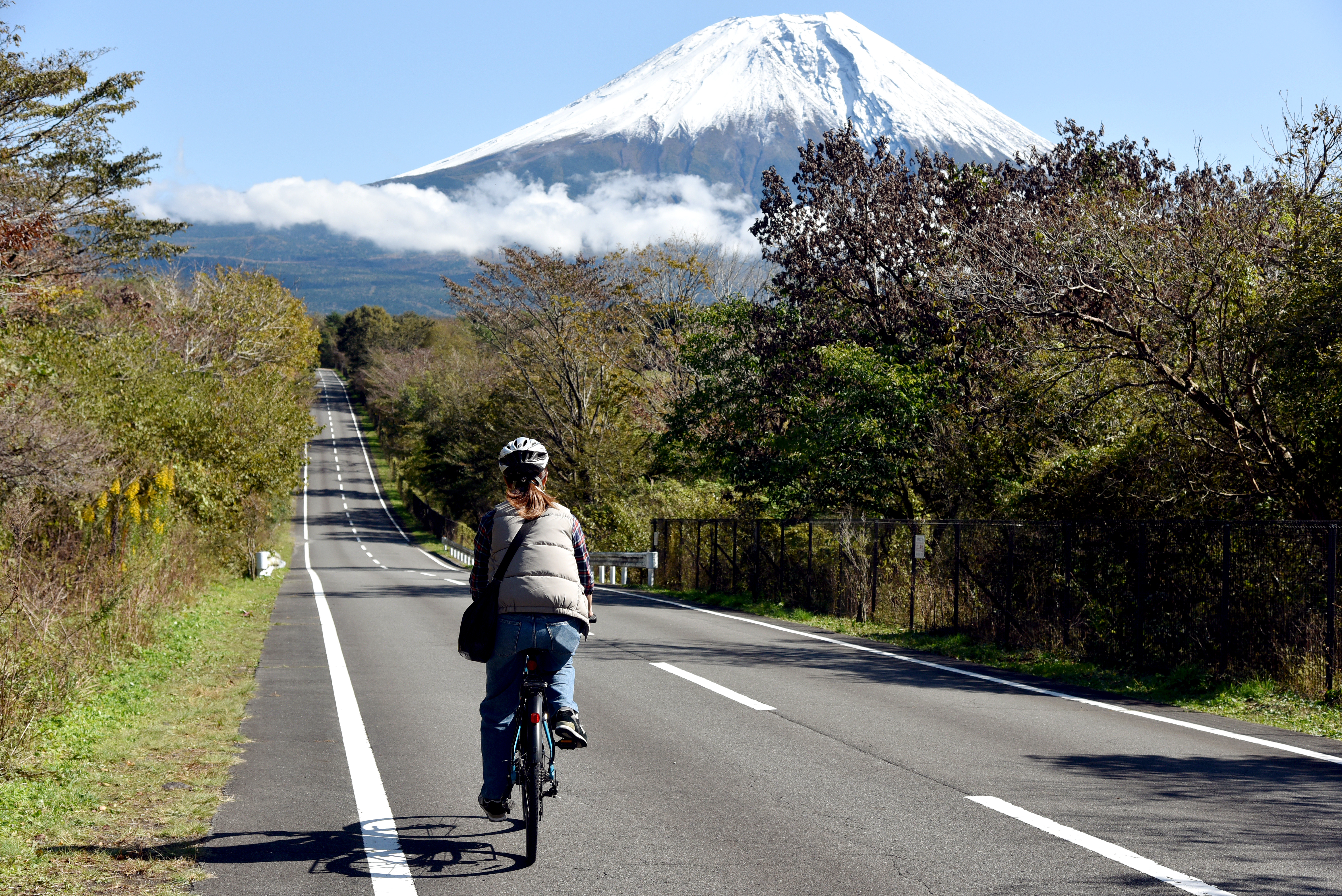 田貫湖でサイクリング！レンタサイクルやマイ自転車で巡る富士山絶景