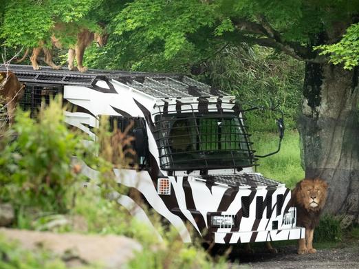 富士サファリパークの楽しみ方を徹底解説！お得な入園方法や所要時間まで