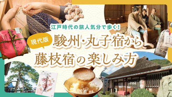 バスで回れる！丸子宿から藤枝宿までの観光モデルコース【日帰り/車なし】