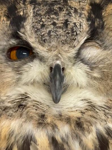 非リア男子必見！！女子が振り向くデートスポット！In 掛川花鳥園