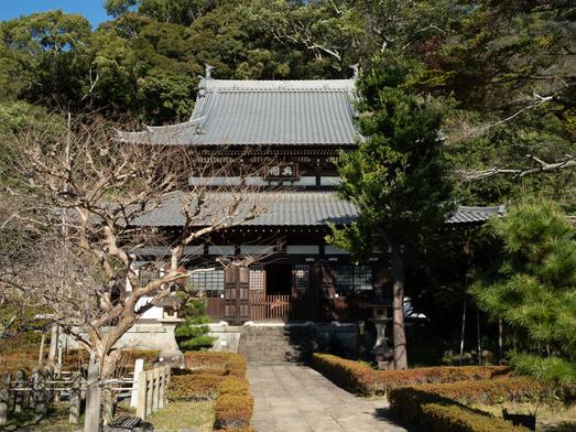 静岡市興津の名刹・清見寺を徹底解説！徳川家康が愛した庭園や梶原景時ゆかりの「血天井」も見どころ