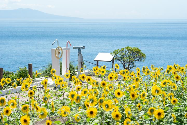 絶景を巡る！伊東市の観光モデルコース【日帰り】