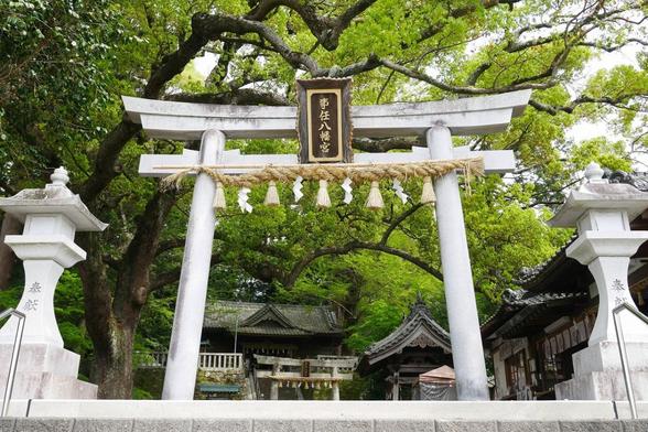 事任八幡宮ってどんなところ？御朱印や見どころ・アクセス情報を徹底解説！