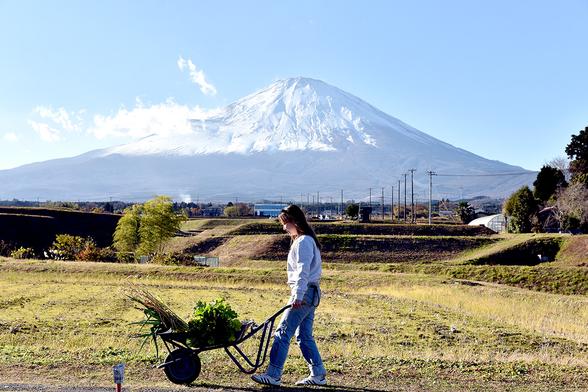 富士山の雄大な景色と自然の恵みを楽しむ旅〜日本三霊山・富士山の農泊<前編>〜