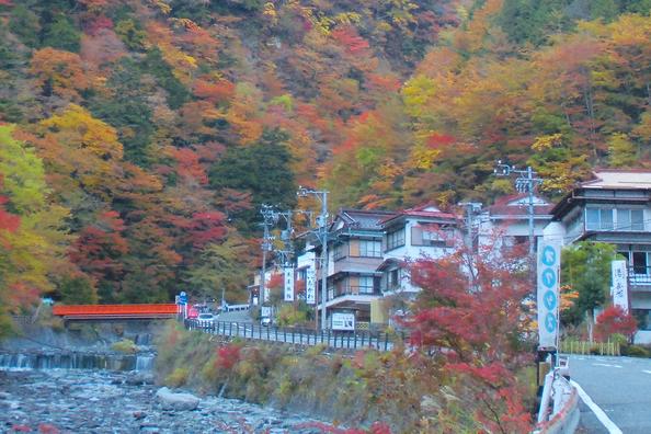 静岡市/オクシズの濃い体験 静岡おでんや静岡わさびも