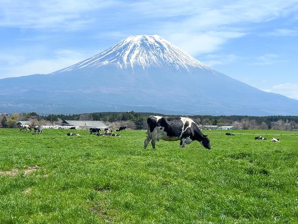 富士山フォトスポット富士宮市おすすめ10選