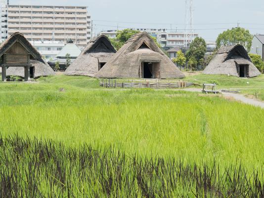 登呂遺跡の見どころは？弥生時代の暮らしを体感！