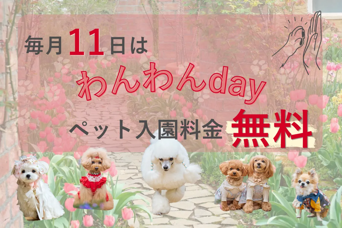 ペット入園料金無料！「わんわんday」