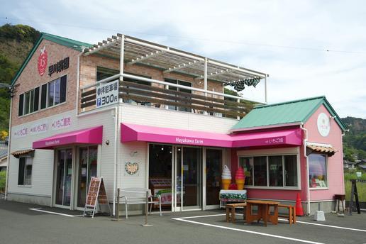 早川農園&cafeいちご畑
