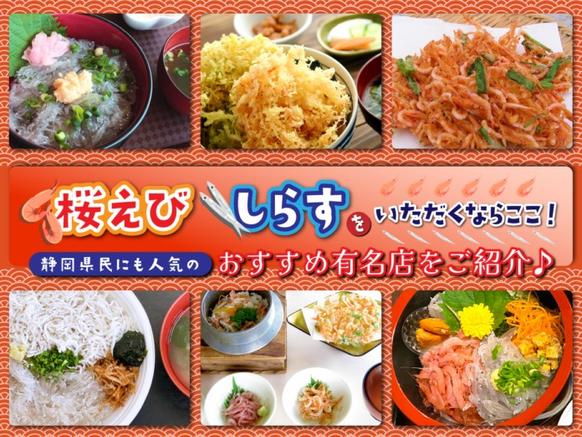 【静岡】桜えび・しらすの名店12選！地元民が通う漁港食堂から絶品ランチまで