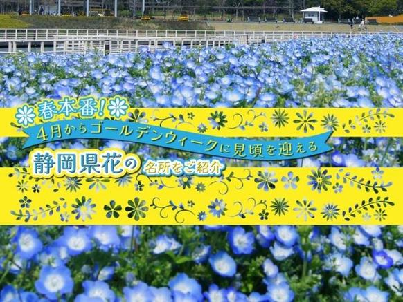 春に見頃を迎える静岡県花の名所12選