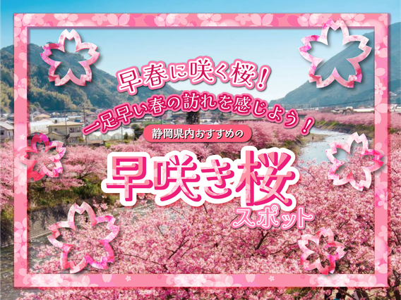 早春に咲く桜！一足早い春の訪れを感じよう！静岡県おすすめの早咲き桜のスポット